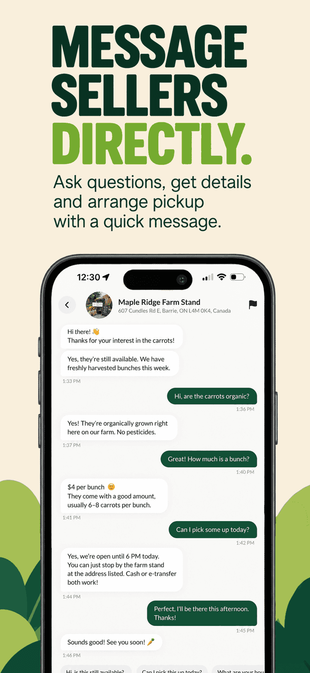 Cropdrop in-app chat between a buyer and a seller, asking about carrots and arranging same-day pickup.